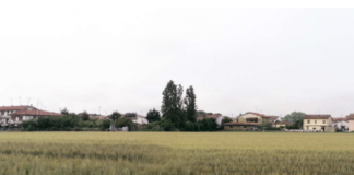 Ancisi (LpRa): “Sì al raddoppio del Conad, ma non su terreno agricolo vincolato”