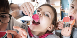 Bassa Romagna: un nuovo portale dedicato al servizio mensa delle scuole