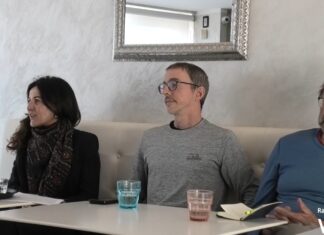 I pini di Lido di Savio, gli esperti: “Devono rimanere in piedi, sono sani”