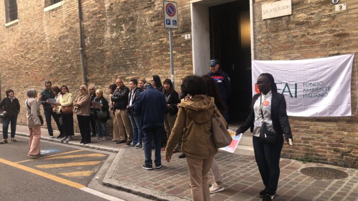 WhatsApp Image 2025-10-12 at 10.08.39