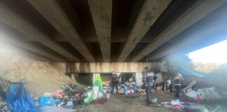 Azione della Polizia Locale contro il degrado in via Sirotti: tre persone deferite e animali sequestrati