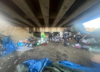 Azione della Polizia Locale contro il degrado in via Sirotti: tre persone deferite e animali sequestrati