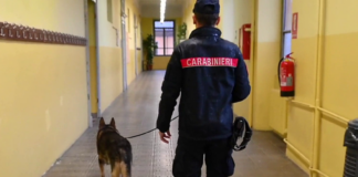 Controlli antidroga nelle scuole di Riolo Terme: segnalata una studentessa