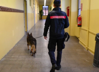 Controlli antidroga nelle scuole di Riolo Terme: segnalata una studentessa