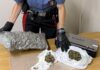 Mezzano arrestato 40enne con oltre mezzo chilo di marijuana