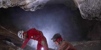 Il progetto Meiogypsos si racconta: tre serate dedicate alla biodiversità nascosta della Vena del Gesso Romagnola