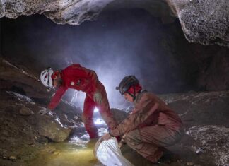 Il progetto Meiogypsos si racconta: tre serate dedicate alla biodiversità nascosta della Vena del Gesso Romagnola