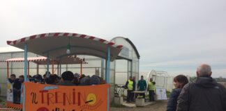 Villaggio del Fanciullo: numeri record per il progetto “Un Orto per Tutti”, quasi mille bambini fra marzo e settembre