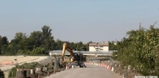 I cittadini contrari agli abbattimenti degli alberi: “Viale Romagna a Lido di Savio come via Cimatti a Faenza ?”