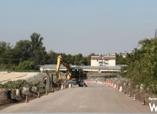 A Prometeo la presentazione del libro “Alberi – Fermiamo la mattanza”