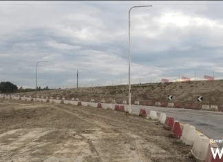 Alberi di via Cimatti: conclusi i lavori, non si fermano le polemiche