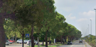 Il 16 ottobre a Punta Marina Terme un’assemblea pubblica sulla riqualificazione di viale dei Navigatori