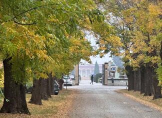 Bagnacavallo: Chiusure, orari e viabilità per la festività di Ognissanti
