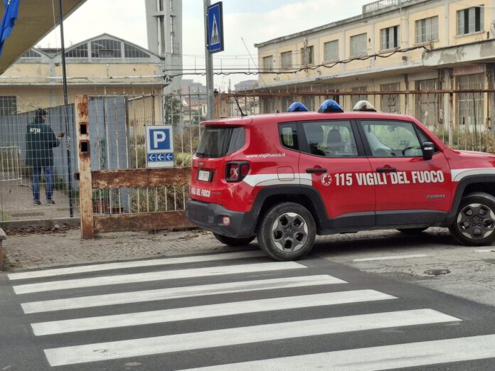 0f82f1db-0e11-4e7e-8c0a-4c1d09df2890