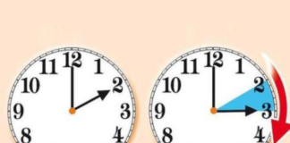 Ora legale tutto l’anno, l’Italia accelera: depositate 352 mila firme alla Camera