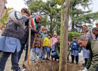 Faenza: Tre nuovi alberi nel parco di San Francesco