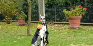 San Bartolo: “Quando la Romagna si racconta con un gesto semplice e geniale”