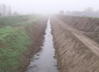 Fusignano: «Giornata del fiume Senio», una serata per parlare di sicurezza idraulica