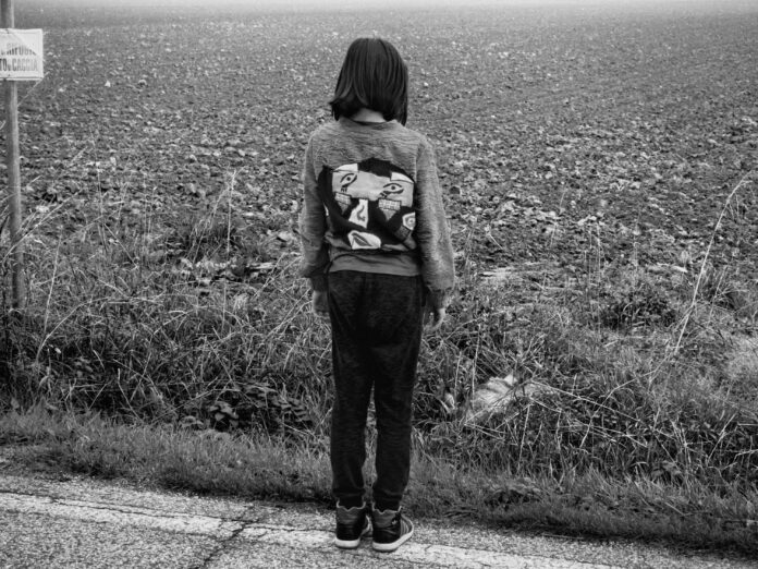 "SCALANDRÊ"Scalandrê is a word from the regional dialect of Romagna, Italy, which means "out of season, out of phase", referring to people, animals or plants. It is the title of the first book by Marco Zanella, a project carried out over three years in