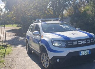 Postina aggredita da un cane: interviene la Polizia Locale