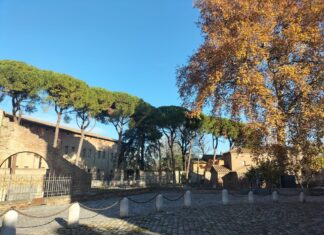 Domenica una passeggiata “per i pini di Galla Placidia”