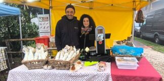 Dal Tartufo all’Olio, Brisighella si prepara alle prossime sagre