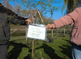Lugo: un nuovo albero al parco Golfera