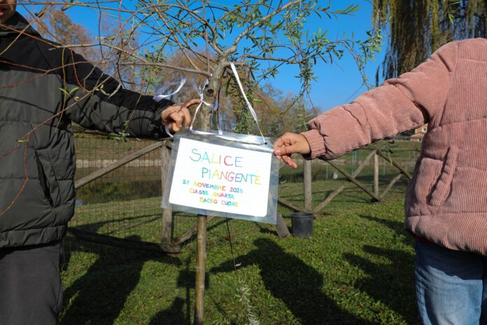 Piantumazione salice al parco Golfera (116)