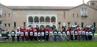 Violenza contro le Donne: le 397 richieste di aiuto nei territori di Ravenna, Cervia e Russi raccontano un fenomeno che non arretra