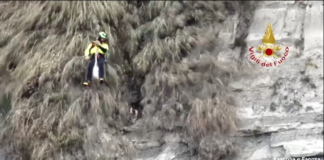 I Vigili del Fuoco recuperano due cani scivolati lungo una parete rocciosa