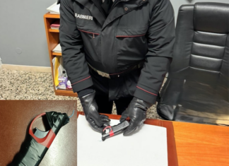 Incendia un’auto e un distributore: in casa i carabinieri trovano due serre per la marijuana