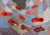 Scarpette rosse in ceramica contro la violenza di genere