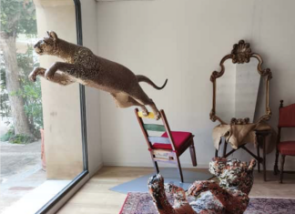 Il bestiario di Carlo Pasini in vetrina