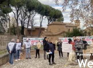 Presidio per i pini di Galla Placidia e per la tutela di uno dei complessi monumentali UNESCO