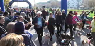 Maratona, al via la Dogs & Run. 350 cani e i loro padroni corrono per le vie di Ravenna