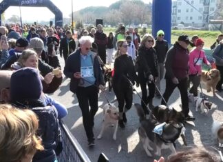 Maratona, al via la Dogs & Run. 350 cani e i loro padroni corrono per le vie di Ravenna