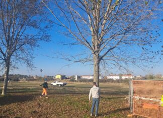 Massa Lombarda, iniziati i lavori alle vasche di laminazione in via della Cooperazione