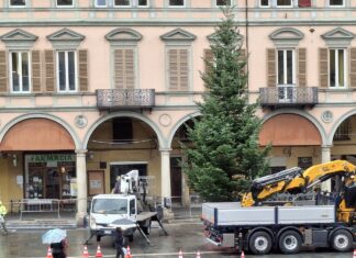 Iniziata l’installazione dell’albero di Natale in piazza della Libertà