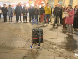 “Un corteo per umiliarle”: flash mob contro le parole di Nicola Carnicella