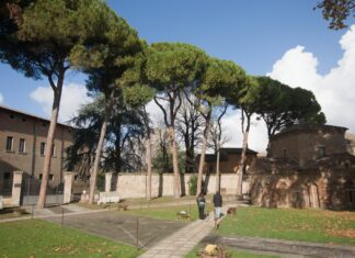 Un presidio per evitare gli abbattimenti degli alberi a Galla Placidia