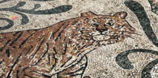 Nicola Montalbini in dialogo con Marco Santi, racconta “Il Pavimento”