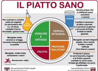 Nuovo canale WhatsApp ‘A tavola con l’AUSL Romagna’: per ricevere ogni settimana ricette sane e gustose per tutta la famiglia