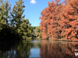 Parco Bucci. Il bilancio della gestione della Piccola Oasi: “Il parco ora è fra le mete più apprezzate”