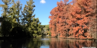 Parco Bucci e della Rocca riconosciuti da tre Ministeri come esempi da seguire per tutta Italia