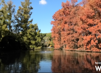 Parco Bucci. Il bilancio della gestione della Piccola Oasi: “Il parco ora è fra le mete più apprezzate”