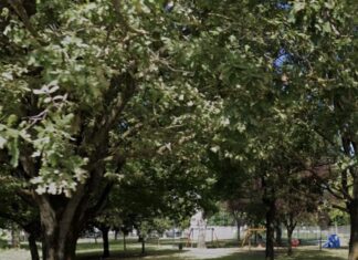 Giovedì 20 novembre alle 15 l’inaugurazione del parco Cavina a Fornace Zarattini