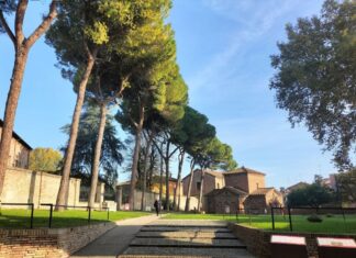 Pini di San Vitale, il tavolo tecnico avvia nuove valutazioni sulla stabilità degli alberi