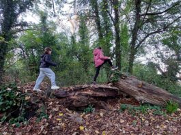 Il 30 novembre la natura di Bagnacavallo e Villanova protagonista di Giardini Segreti