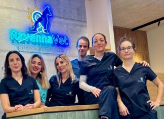 Novità per gli amici a quattro zampe: a Ravenna apre la nuova clinica veterinaria RavennaVet