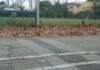 Fogliame e ghiaino sulle strade, Cacciatore (Lega): “Situazione pericolosa, il Comune intervenga”